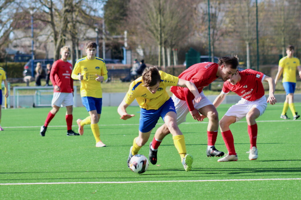 SG Taucha 99 - Roter Stern Leipzig 2:0 (1:0)