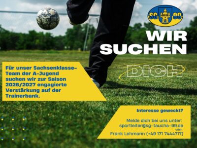 Deine Chance an der Seitenlinie – Trainerjob in der Sachsenklasse!